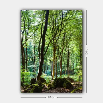 Lærred 70x100 cm - Frodig skov med høje træer og frodig vegetation - Grøn / Brun - Boligtilbehør - Billeder & kunst - Billeder på lærred