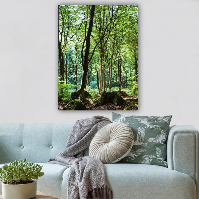 Lærred 70x100 cm - Frodig skov med høje træer og frodig vegetation - Grøn / Brun - Boligtilbehør - Billeder & kunst - Billeder på lærred