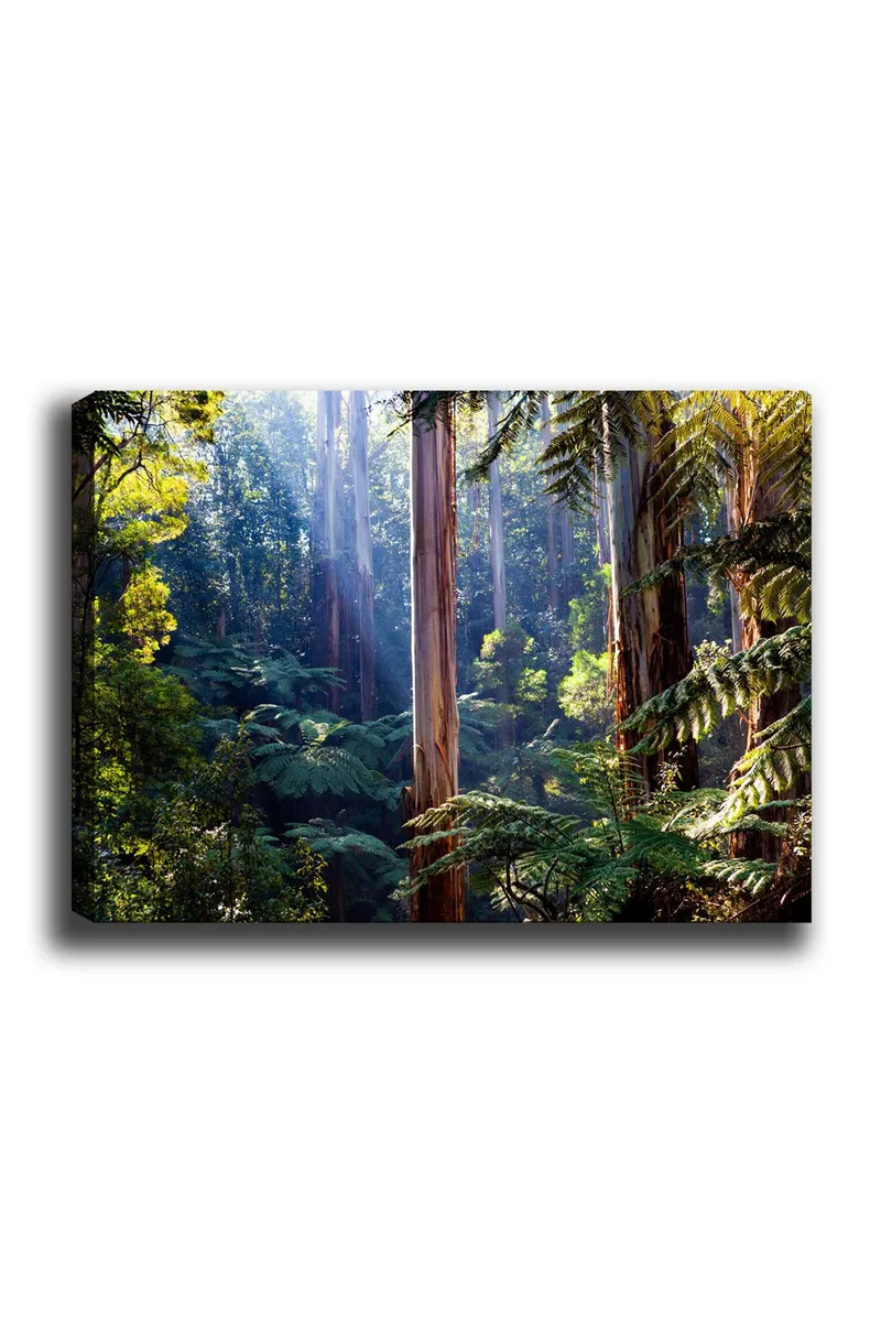 Lærred 70x100 cm - Frodig skov med høje træer og grønne planter, der skaber en rolig og naturlig atmosfære, Grøn / Brun / Lyseblå