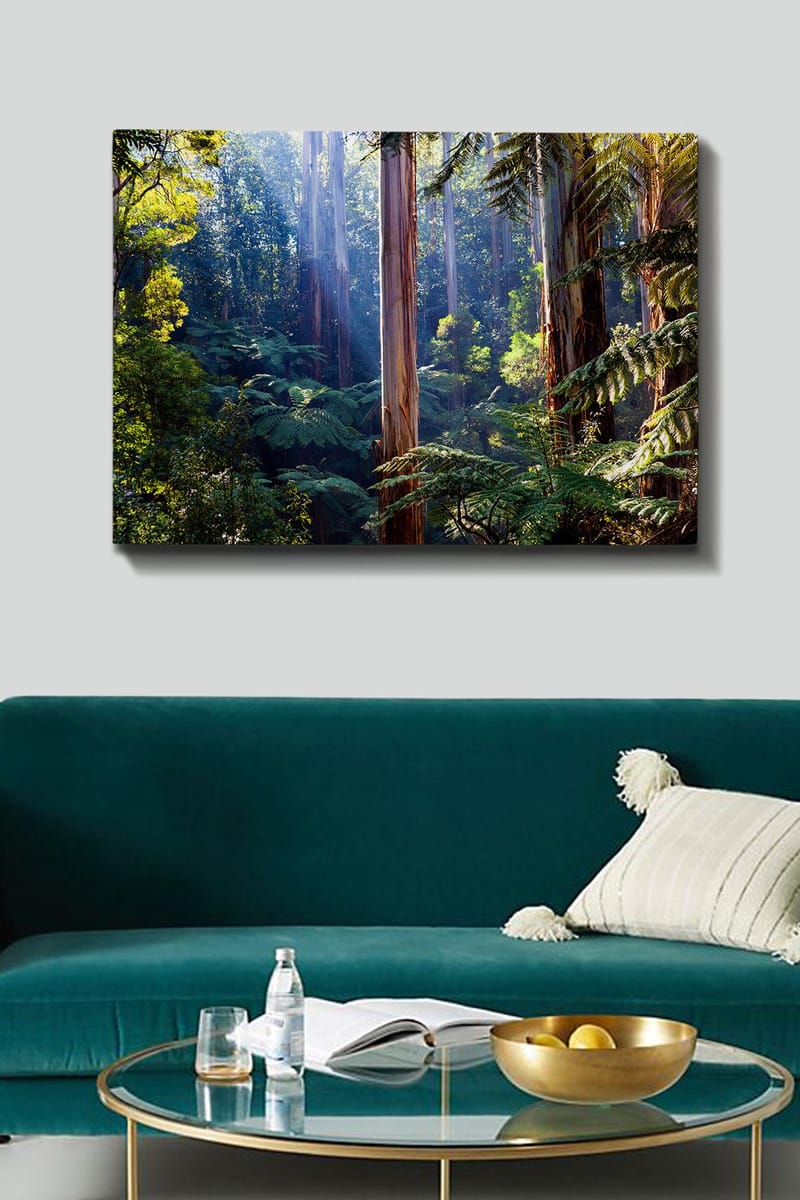 Lærred 70x100 cm - Frodig skov med høje træer og grønne planter, der skaber en rolig og naturlig atmosfære - Grøn / Brun / Lyseblå - Boligtilbehør - Billeder & kunst - Billeder på lærred