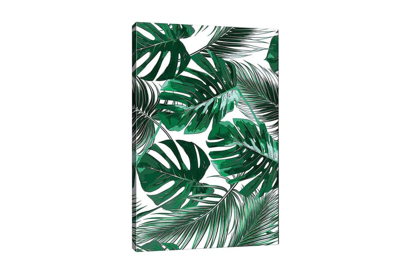 Lærred 70x100 cm - Frodige palmeblade i forskellige former og størrelser, Mørkegrøn / Lysegrøn