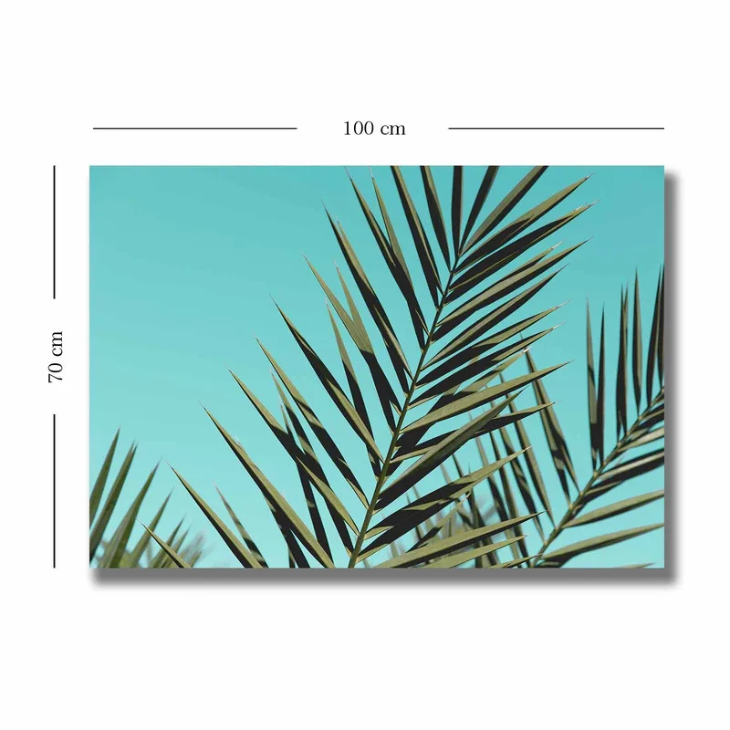 Lærred 70x100 cm - Frodige palmeblade mod en klar himmel - Turkis / Mørkegrøn - Boligtilbehør - Billeder & kunst - Billeder på lærred