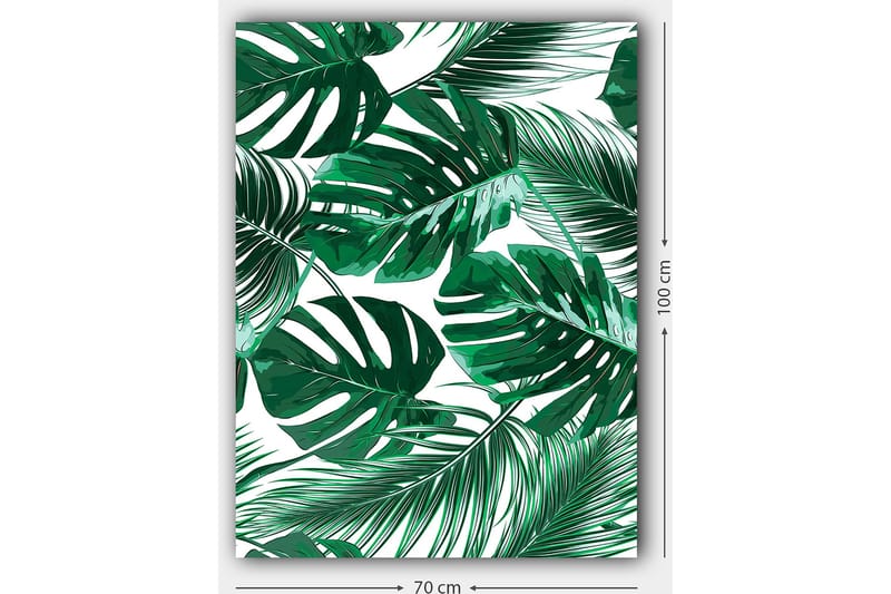 Lærred 70x100 cm - Frodige palmeblade i forskellige former og størrelser - Mørkegrøn / Lysegrøn - Boligtilbehør - Billeder & kunst - Billeder på lærred