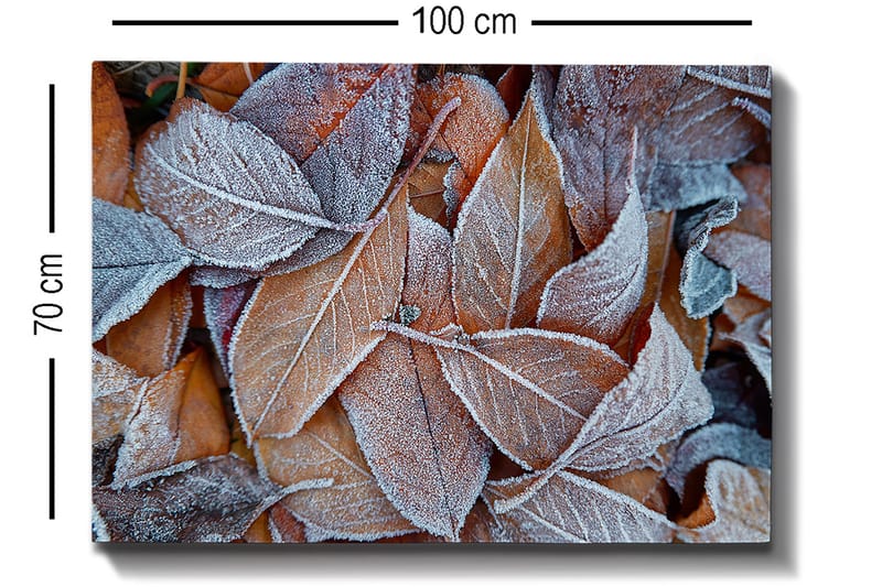 Lærred 70x100 cm - Frosne blade i efterårsfarver - Orange / Grå / Hvid - Boligtilbehør - Billeder & kunst - Billeder på lærred