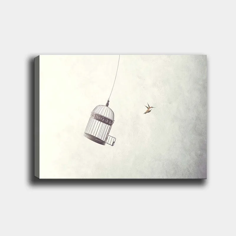 Lærred 70x100 cm - Fuglebur hængende i luften med en fugl der flyver i nærheden - Grå / Sort / Hvid - Boligtilbehør - Billeder & kunst - Billeder på lærred