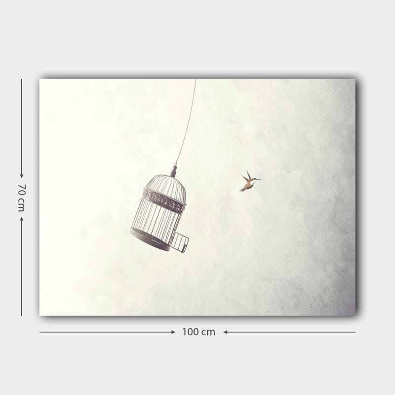Lærred 70x100 cm - Fuglebur hængende i luften med en fugl der flyver i nærheden - Grå / Sort / Hvid - Boligtilbehør - Billeder & kunst - Billeder på lærred