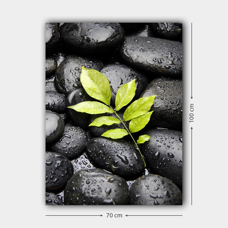 Lærred 70x100 cm - Grøn kvist vokser ud af en samling af sorte sten - Sort / Grøn - Boligtilbehør - Billeder & kunst - Billeder på lærred