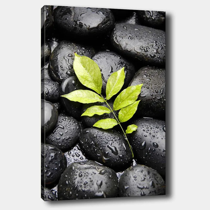 Lærred 70x100 cm - Grøn kvist vokser ud af en samling af sorte sten, Sort / Grøn
