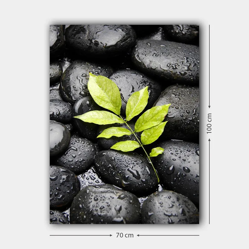 Lærred 70x100 cm - Grøn kvist vokser ud af en samling af sorte sten - Sort / Grøn - Boligtilbehør - Billeder & kunst - Billeder på lærred
