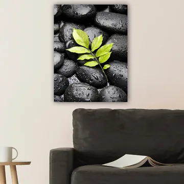 Lærred 70x100 cm - Grøn kvist vokser ud af en samling af sorte sten - Sort / Grøn - Boligtilbehør - Billeder & kunst - Billeder på lærred