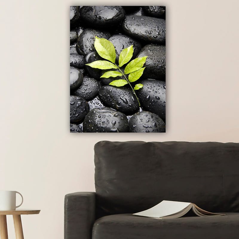 Lærred 70x100 cm - Grøn kvist vokser ud af en samling af sorte sten - Sort / Grøn - Boligtilbehør - Billeder & kunst - Billeder på lærred
