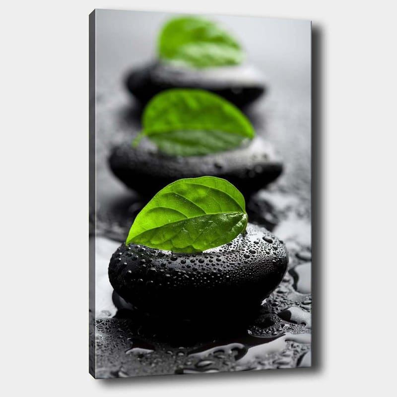 Lærred 70x100 cm - Harmonisk komposition af sorte sten med grønne blade, der symboliserer ro og balance - Sort / Grøn - Boligtilbehør - Billeder & kunst - Billeder på lærred