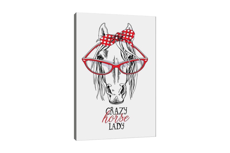 Lærred 70x100 cm - Humoristisk illustration af et hoved med store briller og en rød prikket sløjfe, Rød / Sort / Hvid