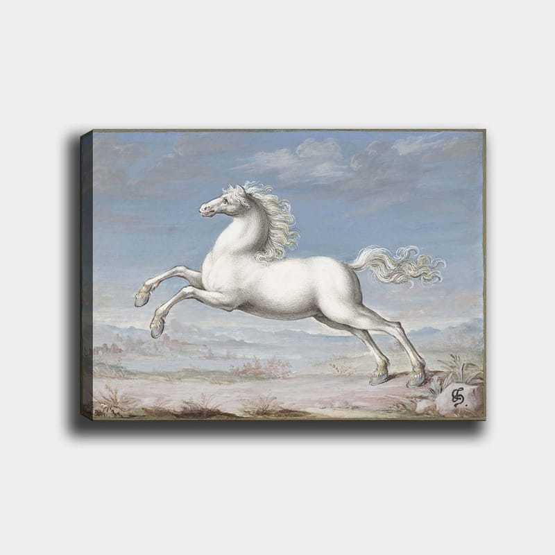 Lærred 70x100 cm - Hvid hest der hopper fremad i et naturskønt landskabsmiljø, Hvid / Lyseblå / Beige