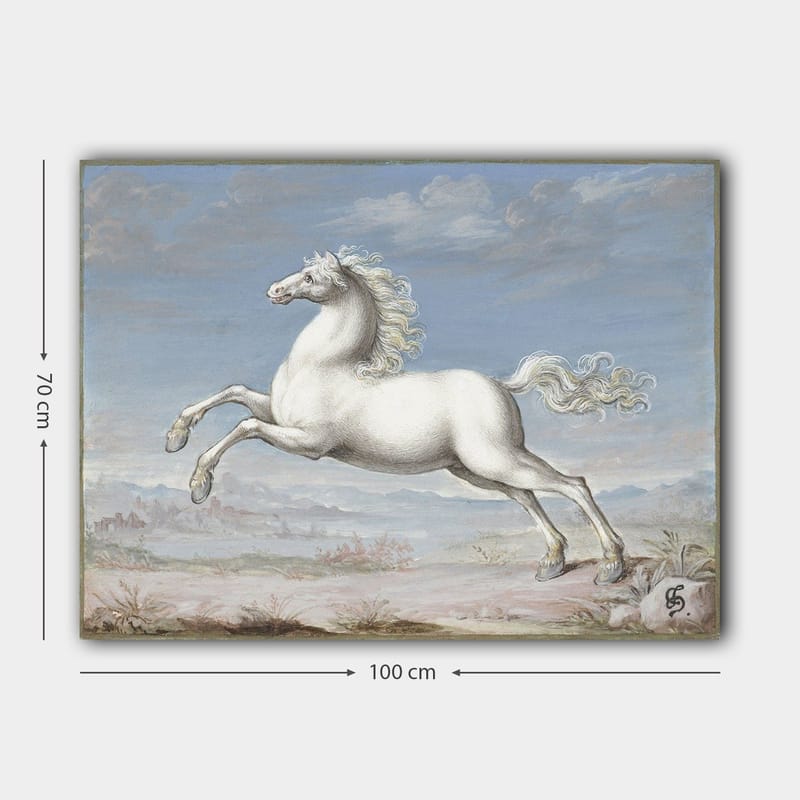 Lærred 70x100 cm - Hvid hest der hopper fremad i et naturskønt landskabsmiljø - Hvid / Lyseblå / Beige - Boligtilbehør - Billeder & kunst - Billeder på lærred