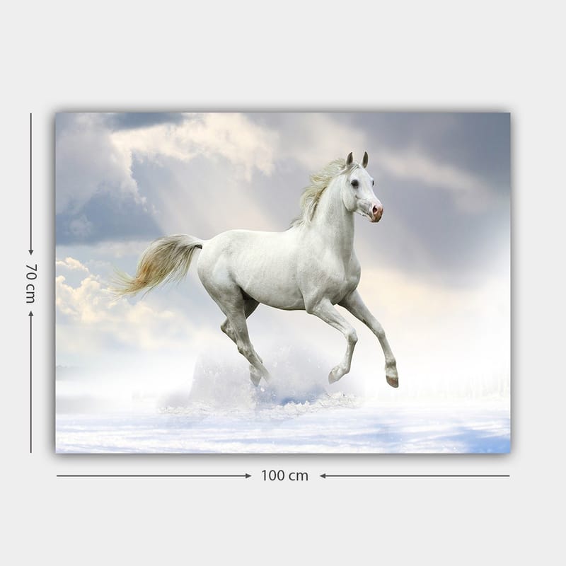 Lærred 70x100 cm - Hvid hest galoperer gennem det sneklædte landskab under en dramatisk himmel - Hvid / Lyseblå / Grå - Boligtilbehør - Billeder & kunst - Billeder på lærred