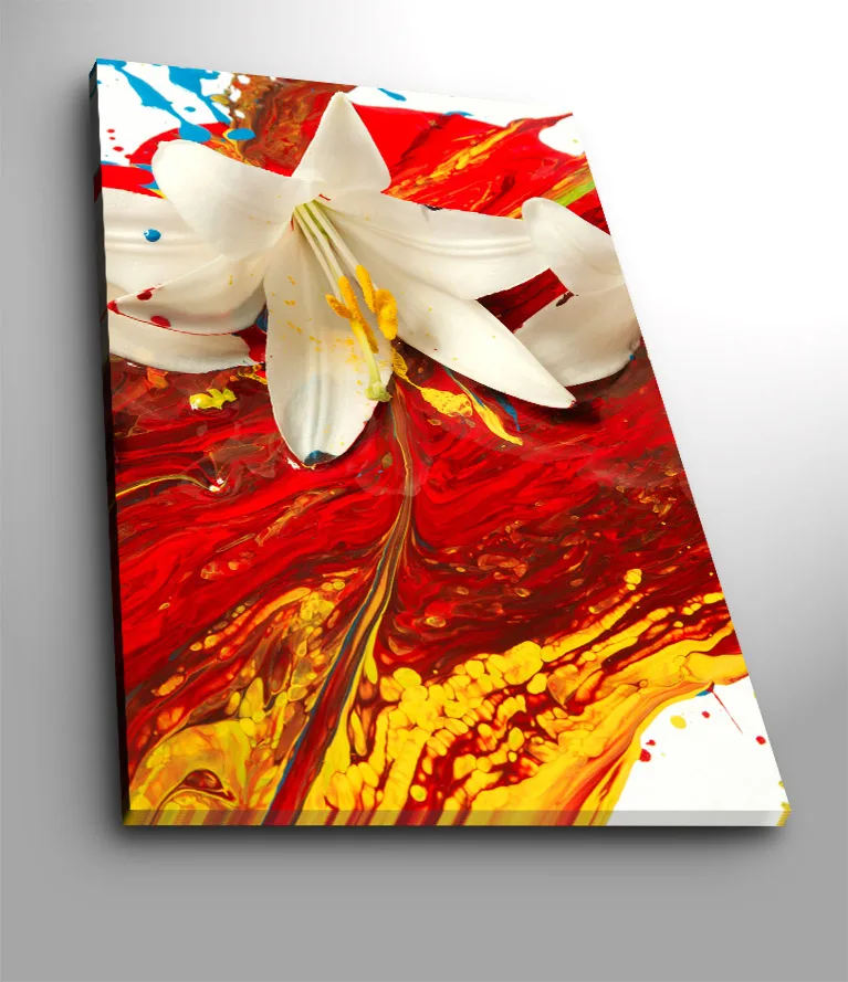 Lærred 70x100 cm - Hvid lilje, der står tydeligt frem mod en baggrund af intense røde og gule farver, Rød / Gul / Hvid