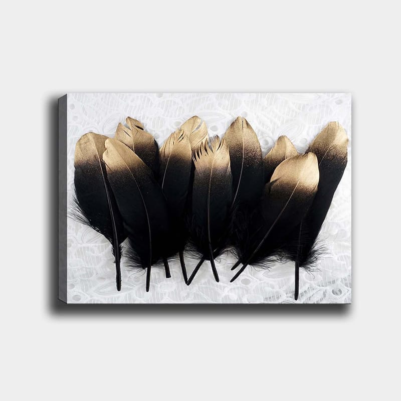 Lærred 70x100 cm - Kollektion af elegante fjer i sort og guld, Sort / Guld