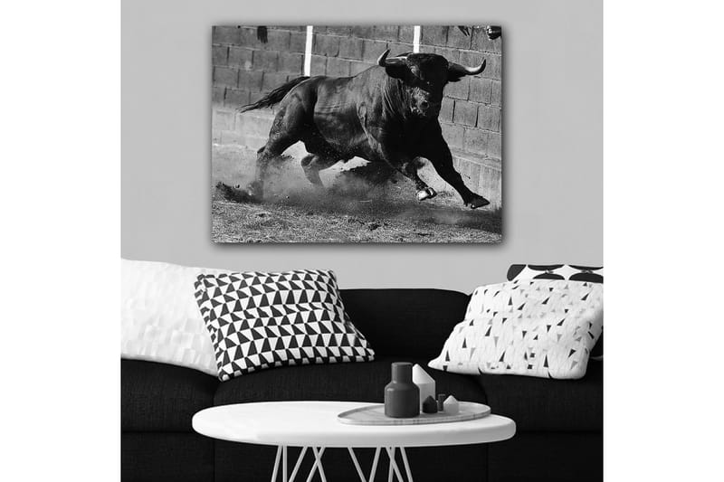 Lærred 70x100 cm - Kraftfuld tyr i bevægelse, fanget i et øjeblik af intensitet og styrke - Sort / Grå - Boligtilbehør - Billeder & kunst - Billeder på lærred