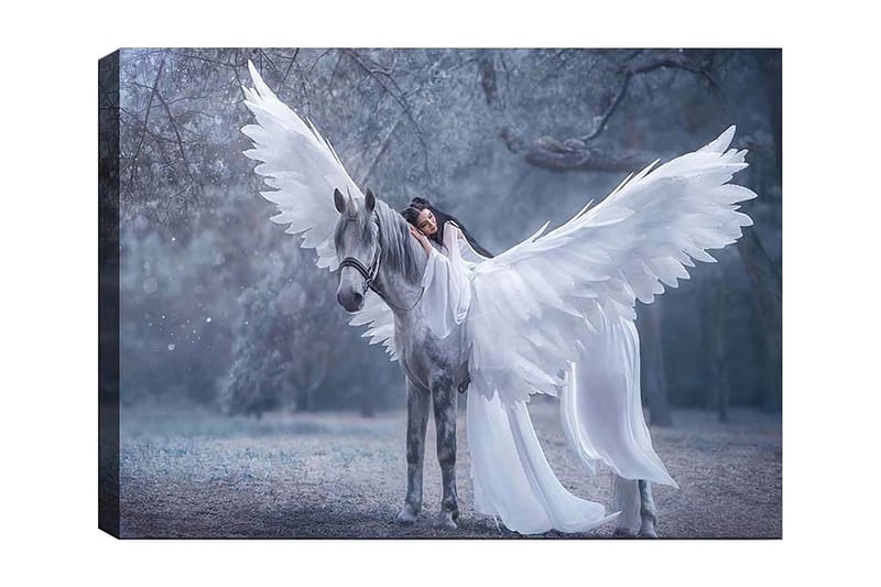 Lærred 70x100 cm - Kvinde med vinger der omfavner en grå hest med store hvide vinger, Hvid / Grå / Lyseblå