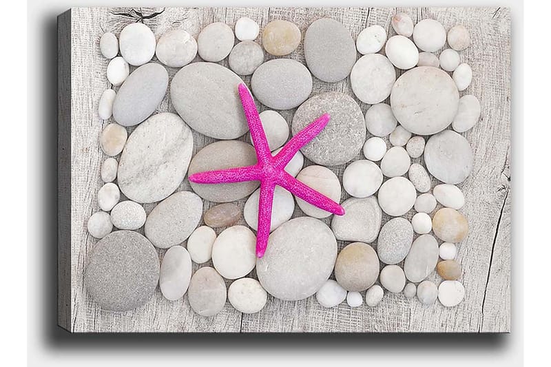 Lærred 70x100 cm - Lyserød søstjerne omgivet af grå og hvide sten - Grå / Hvid / Lyserød - Boligtilbehør - Billeder & kunst - Billeder på lærred