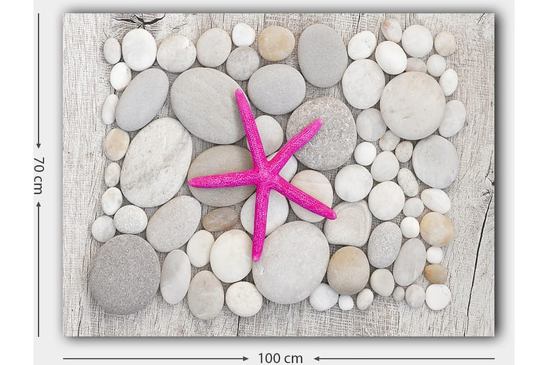 Lærred 70x100 cm - Lyserød søstjerne omgivet af grå og hvide sten - Grå / Hvid / Lyserød - Boligtilbehør - Billeder & kunst - Billeder på lærred
