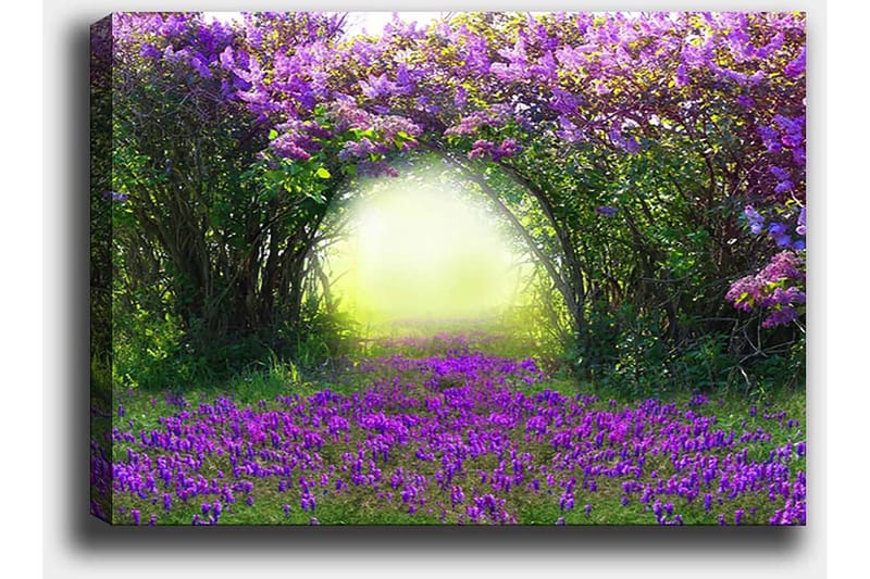 Lærred 70x100 cm - Magisk have med lilla blomster, der fører ind i en lys tunnel af grønt - Lilla / Grøn / Gul - Boligtilbehør - Billeder & kunst - Billeder på lærred