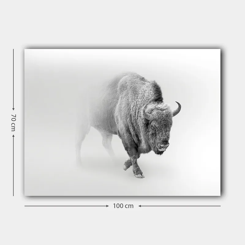 Lærred 70x100 cm - Majestætisk bison går gennem tåge - Grå / Hvid - Boligtilbehør - Billeder & kunst - Billeder på lærred
