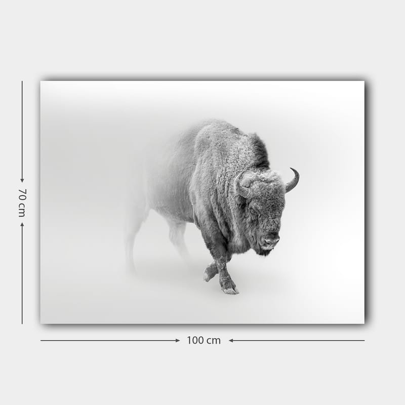 Lærred 70x100 cm - Majestætisk bison går gennem tåge - Grå / Hvid - Boligtilbehør - Billeder & kunst - Billeder på lærred