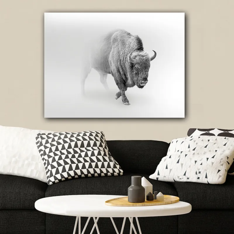 Lærred 70x100 cm - Majestætisk bison går gennem tåge - Grå / Hvid - Boligtilbehør - Billeder & kunst - Billeder på lærred
