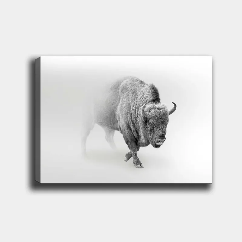 Lærred 70x100 cm - Majestætisk bison går gennem tåge, Grå / Hvid