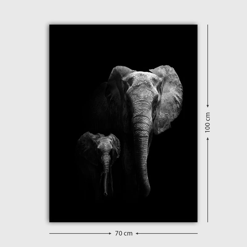 Lærred 70x100 cm - Majestætisk elefant og en kalv, der fremhæver deres forhold i en dramatisk sort-hvid komposition - Sort / Grå - Boligtilbehør - Billeder & kunst - Billeder på lærred