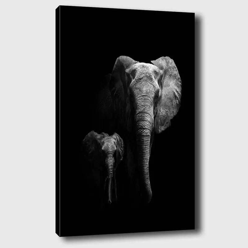 Lærred 70x100 cm - Majestætisk elefant og en kalv, der fremhæver deres forhold i en dramatisk sort-hvid komposition, Sort / Grå