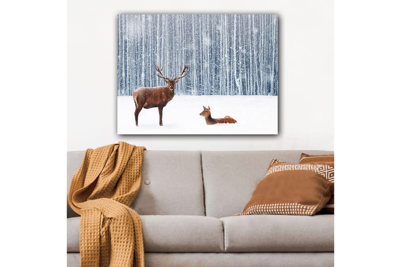 Lærred 70x100 cm - Majestætisk elg og en hjort i et snedækket skovmiljø - Brun / Hvid / Grå - Boligtilbehør - Billeder & kunst - Billeder på lærred