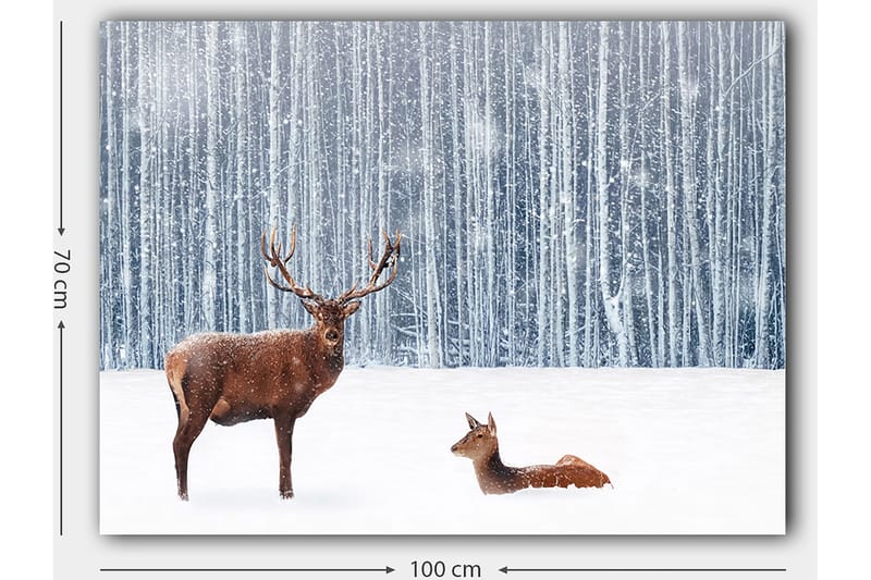 Lærred 70x100 cm - Majestætisk elg og en hjort i et snedækket skovmiljø - Brun / Hvid / Grå - Boligtilbehør - Billeder & kunst - Billeder på lærred