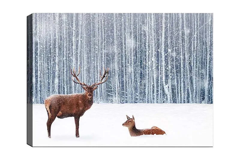 Lærred 70x100 cm - Majestætisk elg og en hjort i et snedækket skovmiljø, Brun / Hvid / Grå