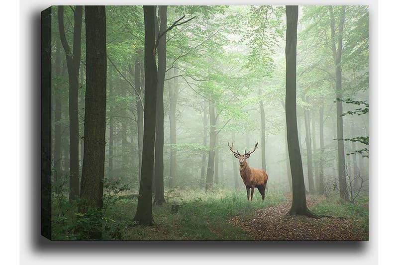 Lærred 70x100 cm - Majestætisk elg står stolt i en tåget skov omgivet af grønne træer - Grøn / Brun / Grå - Boligtilbehør - Billeder & kunst - Billeder på lærred