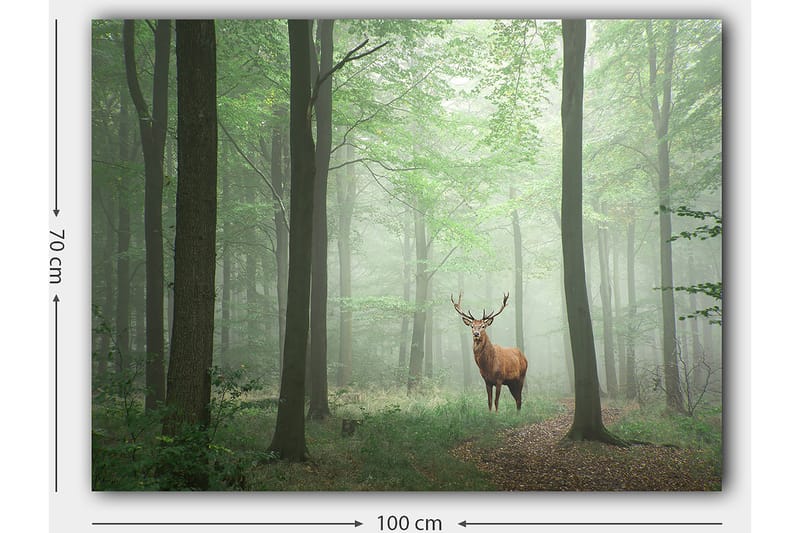 Lærred 70x100 cm - Majestætisk elg står stolt i en tåget skov omgivet af grønne træer - Grøn / Brun / Grå - Boligtilbehør - Billeder & kunst - Billeder på lærred