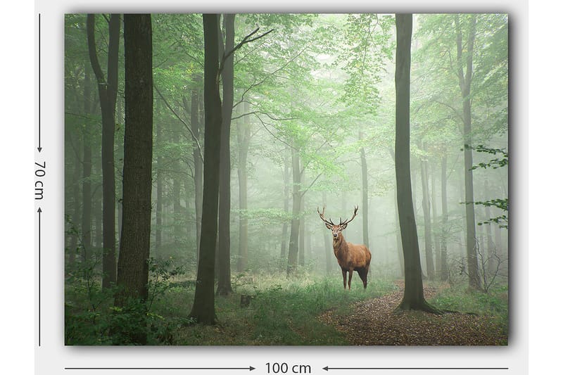 Lærred 70x100 cm - Majestætisk elg står stolt i en tåget skov omgivet af grønne træer - Grøn / Brun / Grå - Boligtilbehør - Billeder & kunst - Billeder på lærred