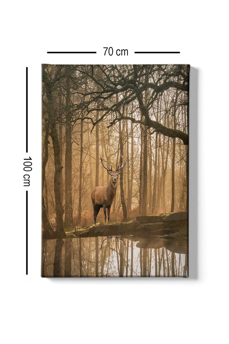 Lærred 70x100 cm - Majestætisk elg står ved en spejlblank sø omgivet af tågede skove - Brun / Guld / Grøn - Boligtilbehør - Billeder & kunst - Billeder på lærred