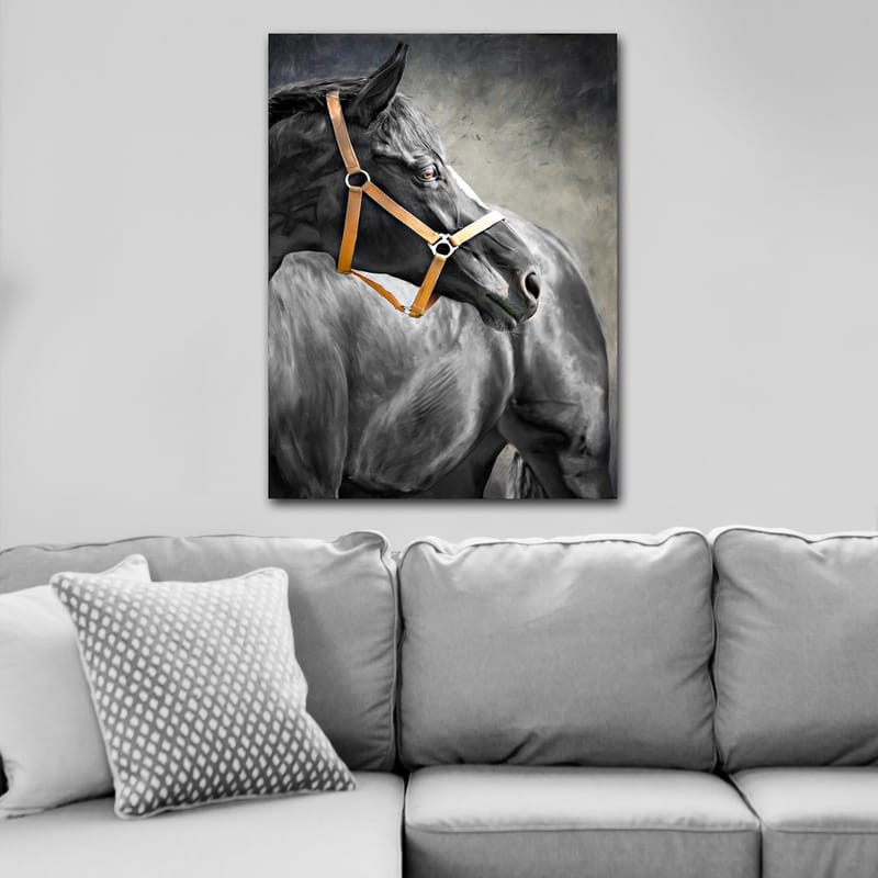 Lærred 70x100 cm - Majestætisk hest med brunt tøjle, der fanger beskuerens opmærksomhed - Sort / Brun / Grå - Boligtilbehør - Billeder & kunst - Billeder på lærred