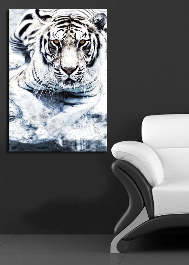 Lærred 70x100 cm - Majestætisk hvid tiger liggende i vandet - Hvid / Sort / Grå - Boligtilbehør - Billeder & kunst - Billeder på lærred