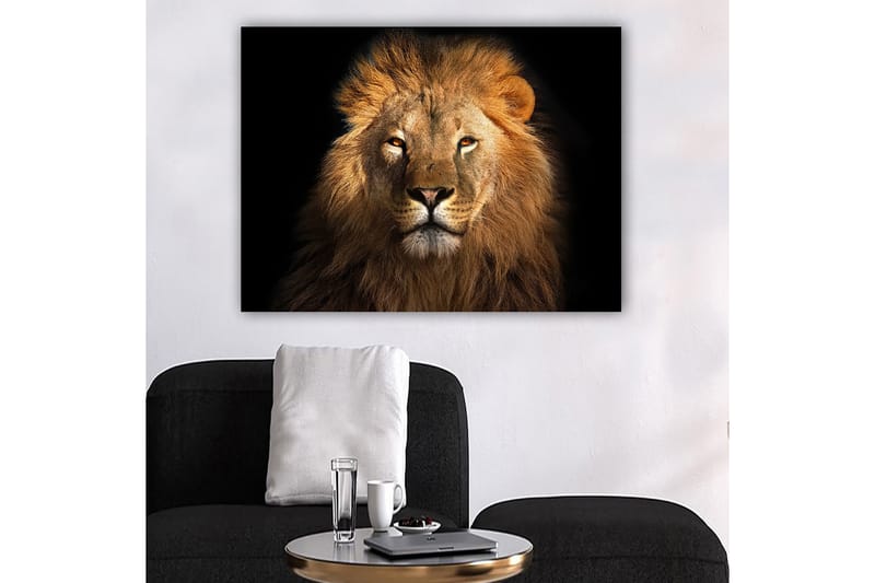 Lærred 70x100 cm - Majestætisk løvehoved med intenst blik, Guld / Brun / Sort