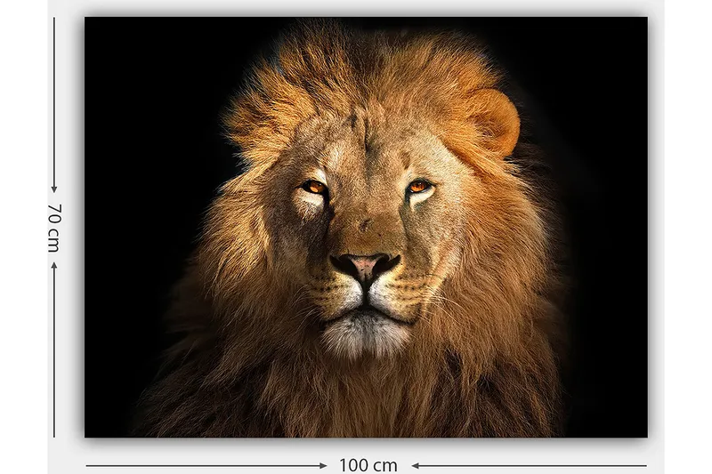 Lærred 70x100 cm - Majestætisk løvehoved med intenst blik - Guld / Brun / Sort - Boligtilbehør - Billeder & kunst - Billeder på lærred