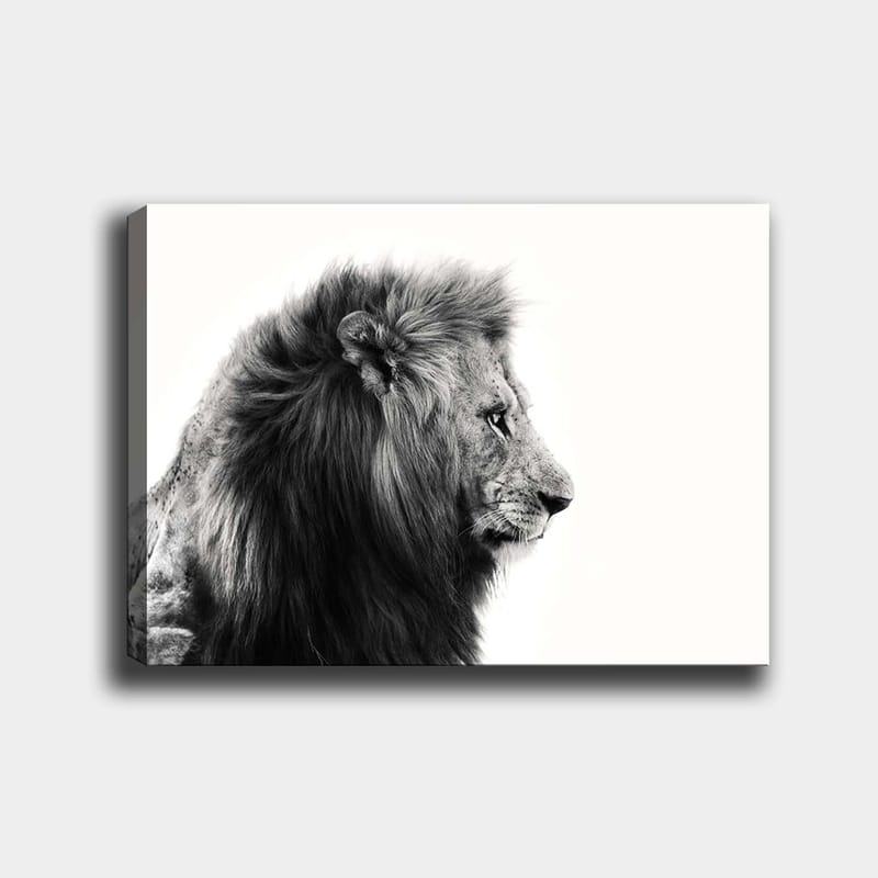 Lærred 70x100 cm - Majestætisk løveprofil i sort-hvid, der udstråler styrke og elegance - Sort / Hvid - Boligtilbehør - Billeder & kunst - Billeder på lærred