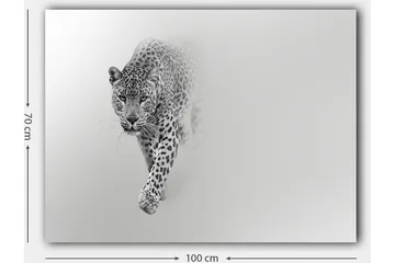 Lærred 70x100 cm - Majestætisk leopard på vej fremad i en stilfuld og minimalistisk komposition - Sort / Grå - Boligtilbehør - Billeder & kunst - Billeder på lærred
