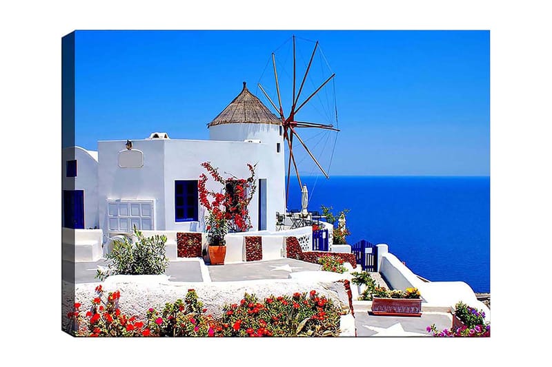 Lærred 70x100 cm - Malerisk udsigt over en hvidkalket bygning med en traditionel vindmølle og farverige blomster på Santorini, Hvid / Blå / Rød