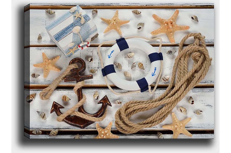 Lærred 70x100 cm - Maritimt stilleben med muslingeskaller, stjerneformet søstjerne og en redningskrans - Beige / Blå / Brun - Boligtilbehør - Billeder & kunst - Billeder på lærred