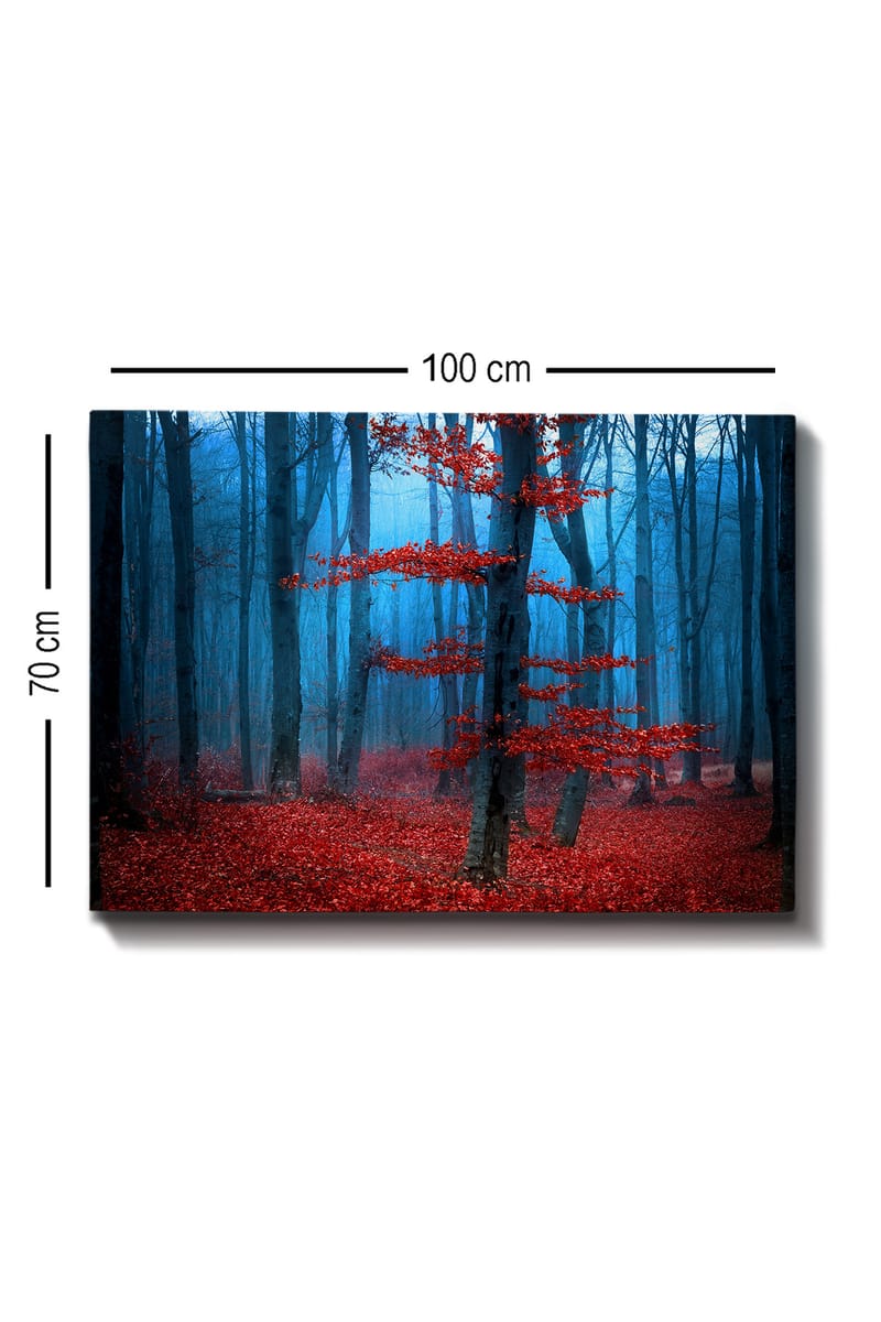 Lærred 70x100 cm - Mystisk skov med et ensomt rødt træ i et tåget miljø - Rød / Blå - Boligtilbehør - Billeder & kunst - Billeder på lærred