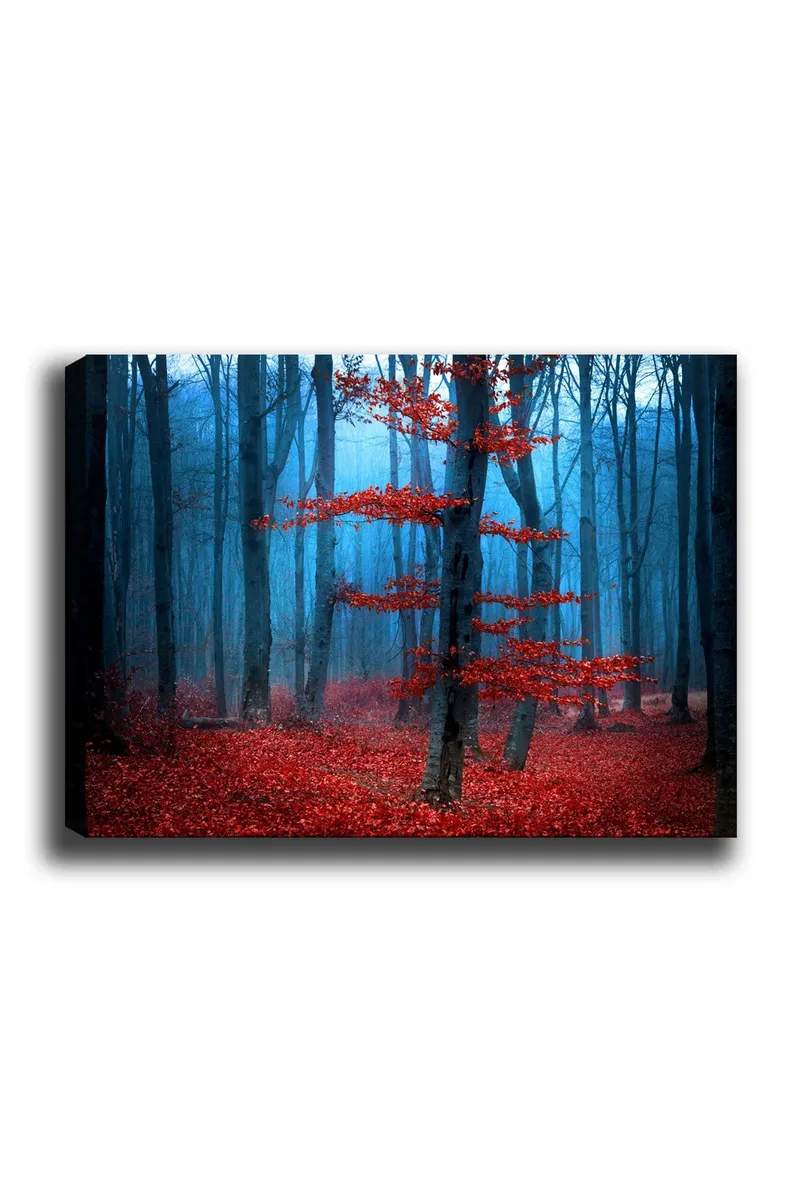Lærred 70x100 cm - Mystisk skov med et ensomt rødt træ i et tåget miljø, Rød / Blå